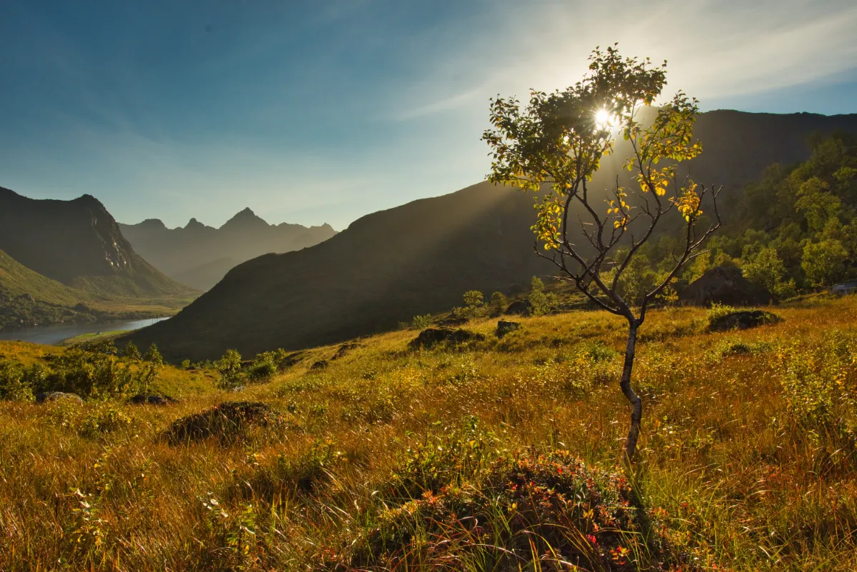 lofoten in september-08