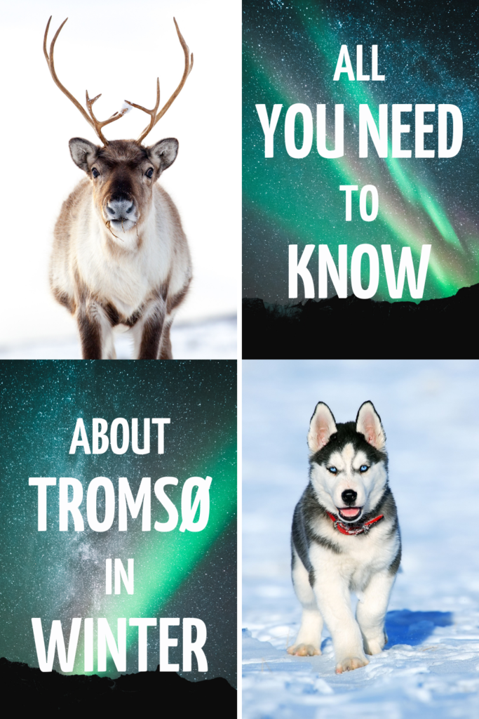All You Need to Know About Tromsø in Winter