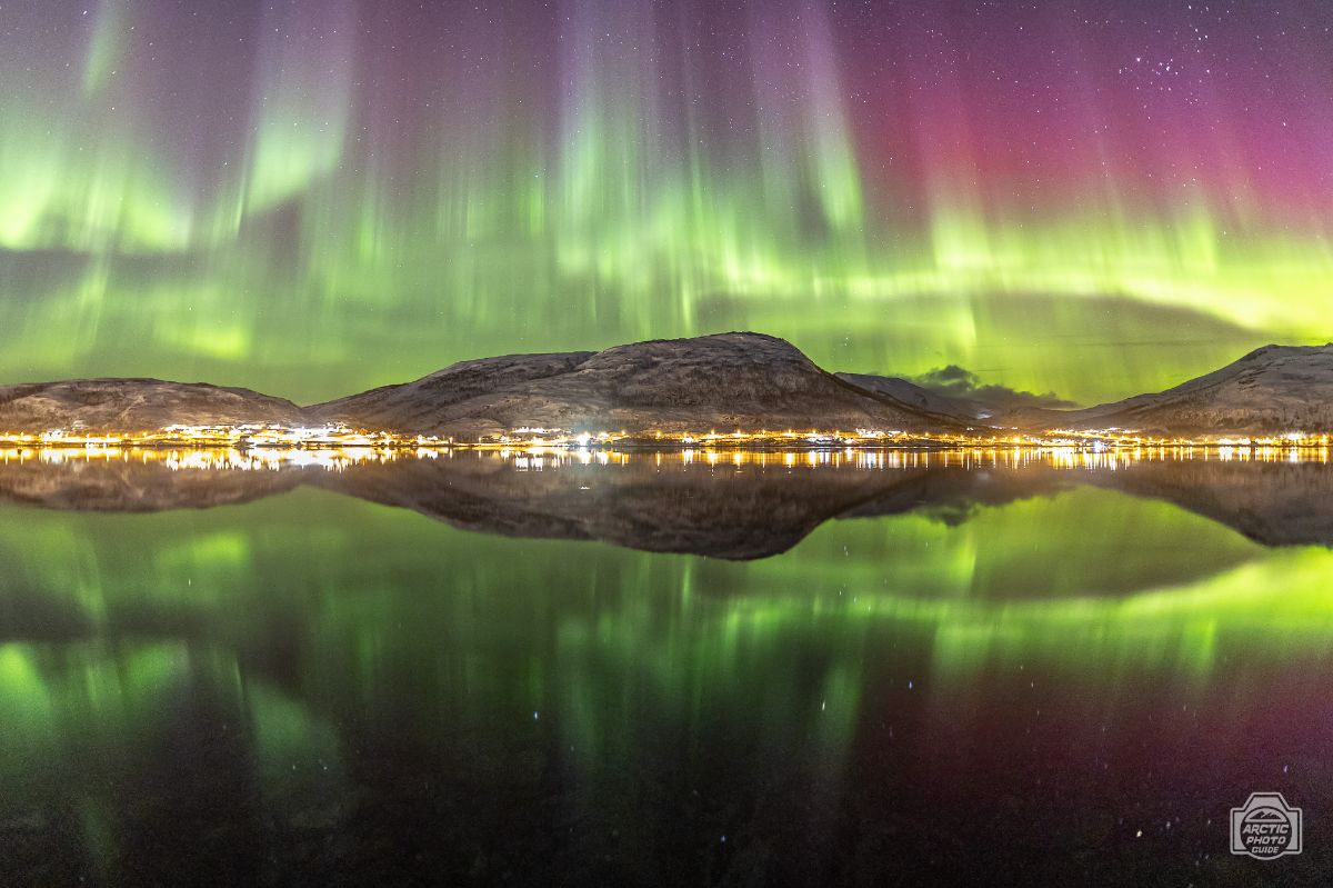 Best northern lights tours in Tromso_Arctic Photo Guide_6