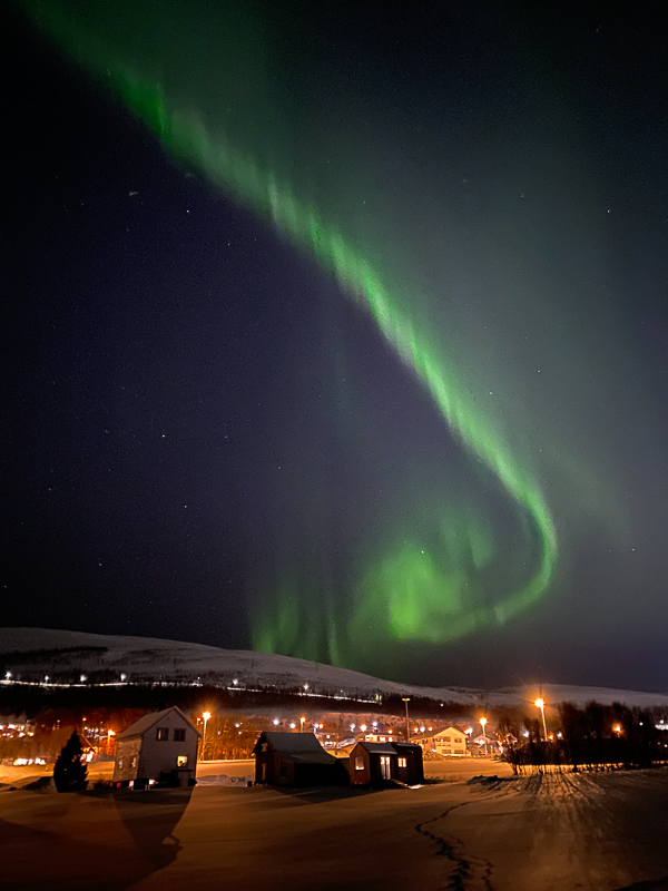 Northern Lights in Tromso in February