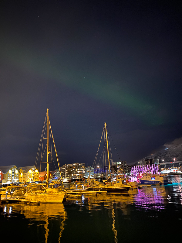 Northern lights in Tromso harbour in January