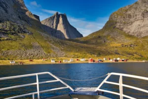 Fjord cruise in Reinefjorden Lofoten autumn