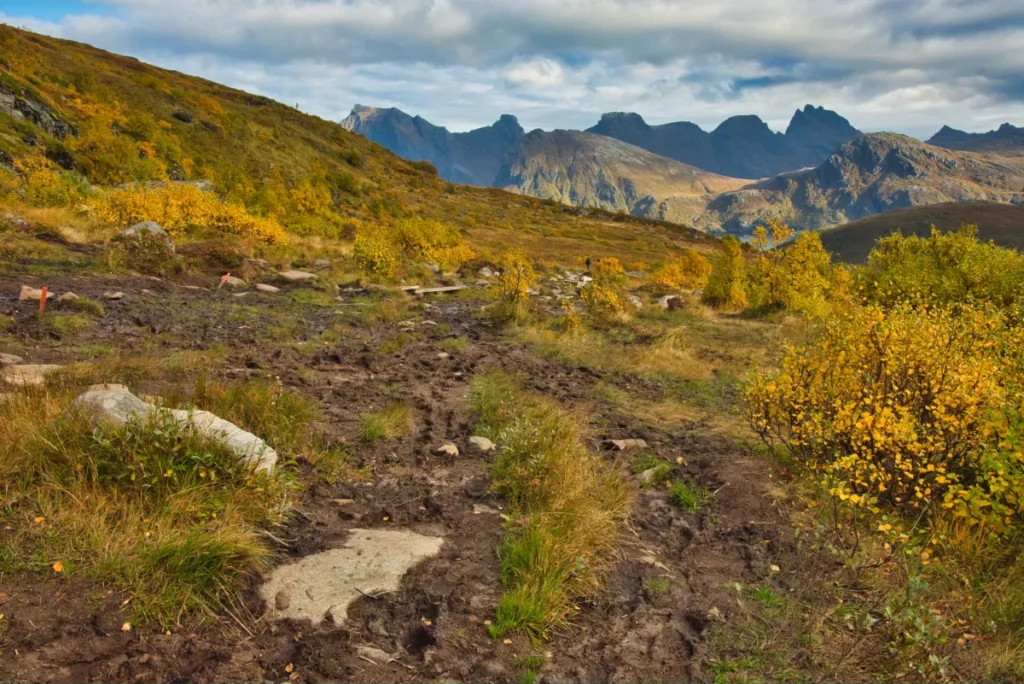 Guide to Lofoten: Wear solid mountain boots when hiking Ryten and Kvalvika. Trying to avoid muddy sections destroyed vegetation and causes erosion of the soil.