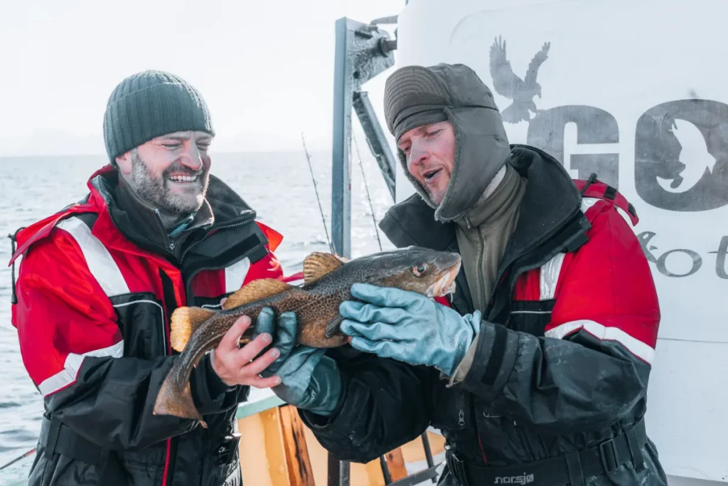 What to do in Lofoten Islands, Norway: Go cod fishing with Go2Lofoten