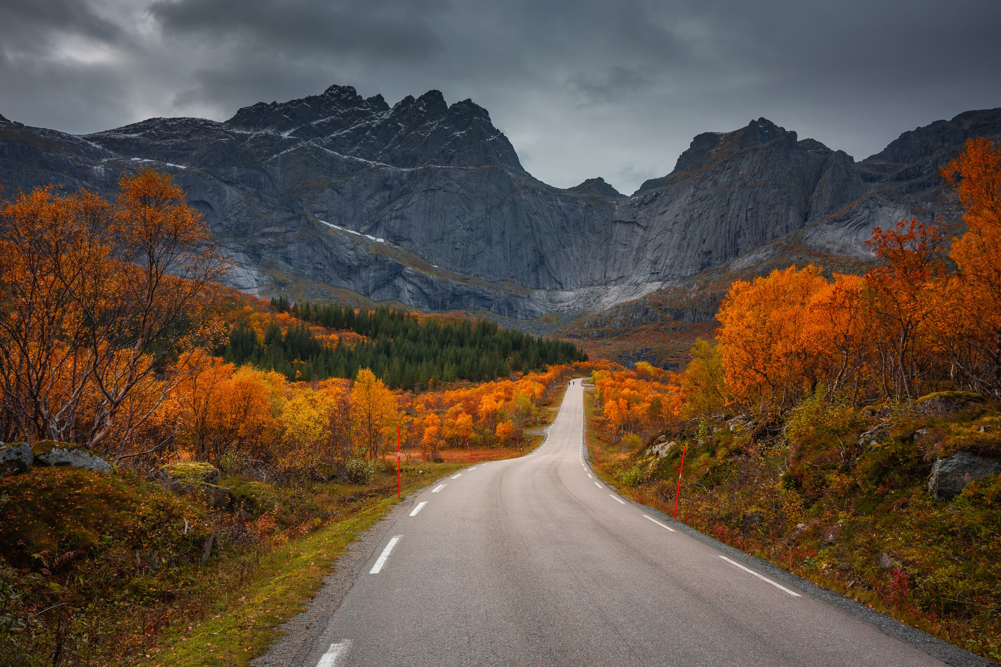 When driving in Lofoten do not just stop in the middle of the road to take a picture.
