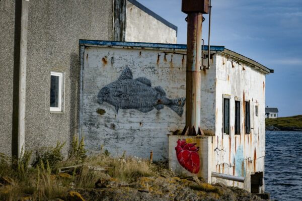 Røst Island: A Journey to Lofoten's Edge | Guide to Lofoten