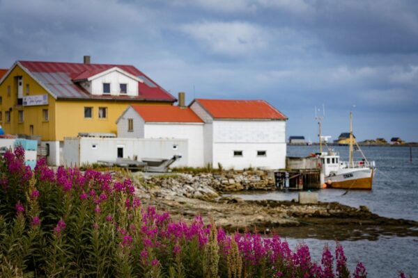 Røst Island: A Journey to Lofoten's Edge | Guide to Lofoten