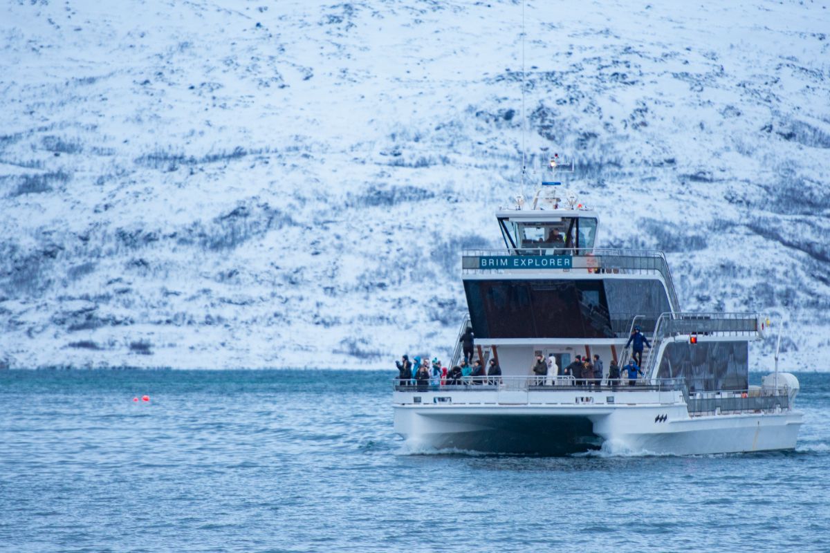 best things to do in tromso in winter fjord cruise tour brim