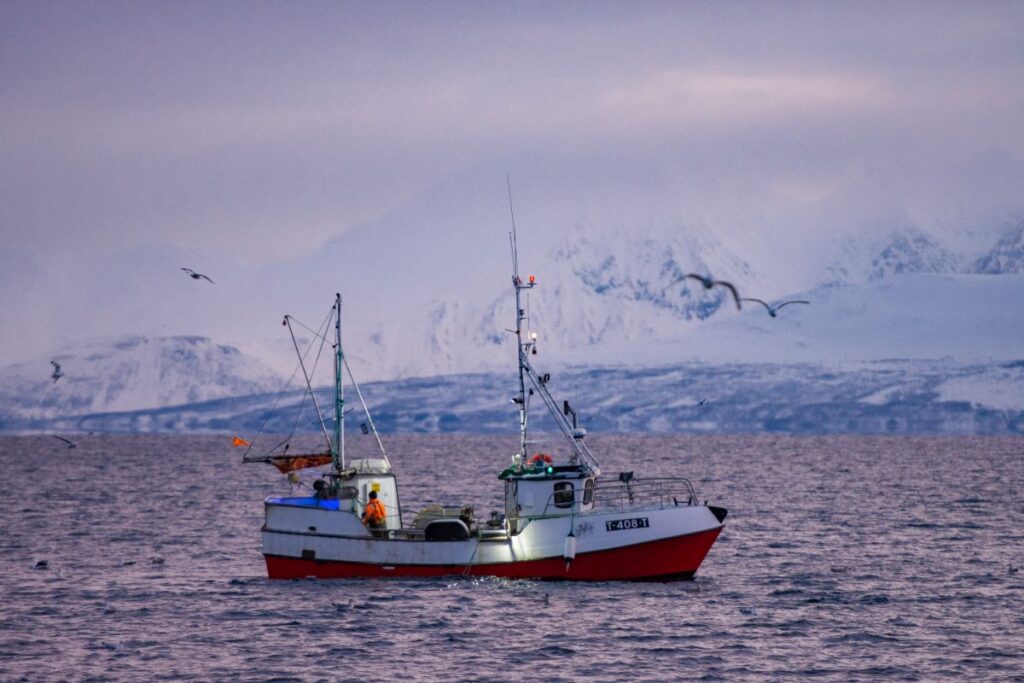 Going on a fjord cruise in Tromso is one of the best ways how to see fishing boats in action.