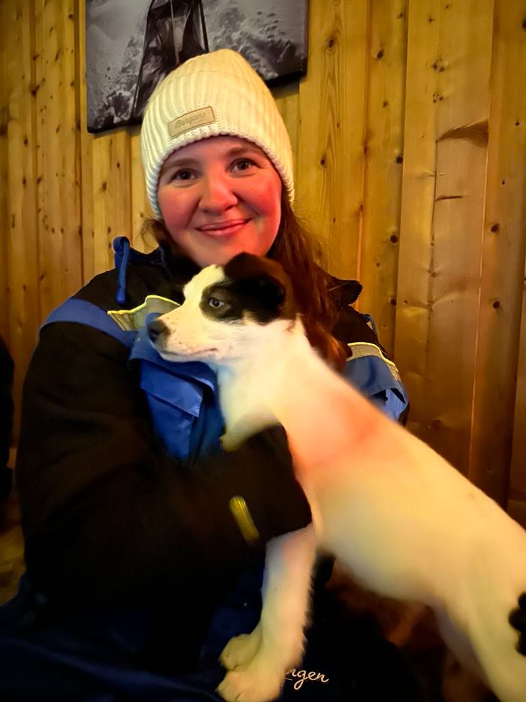 best things to do in tromso_dog sledding_21