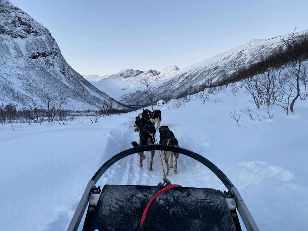 best things to do in tromso_dog sledding_25