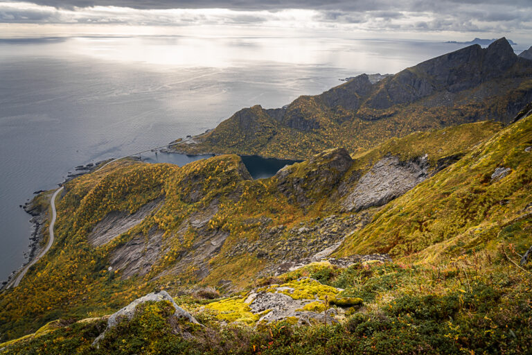 The view from the Reinebringen trail towards Djupfjorden