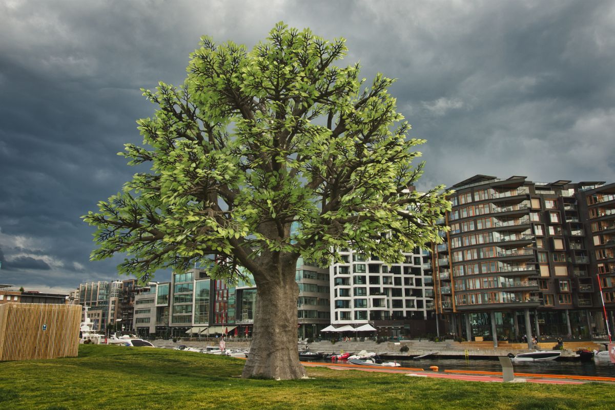 Oslo tree at Tjuvholmen