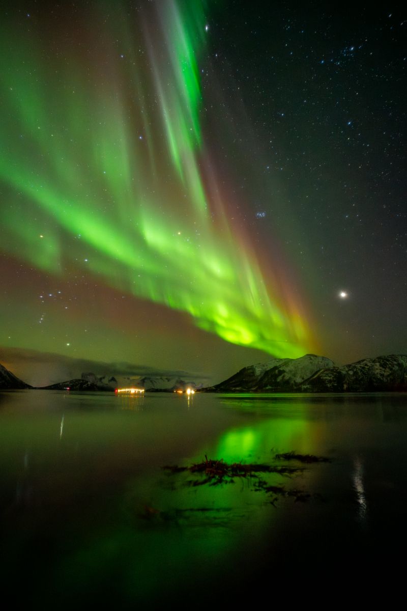 Best time to see the northern lights in Tromso: March (Photo by Oli Jennings from Northbound)