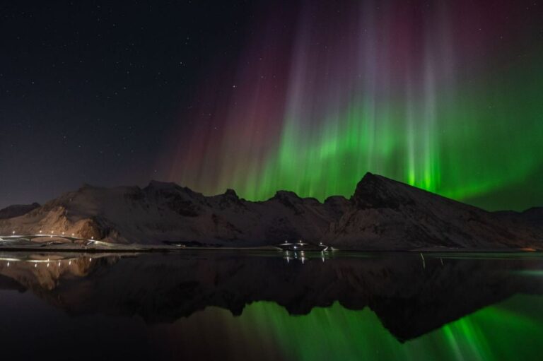 northern lights tour from Reine Lofoten