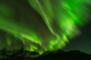 northern lights tour from Reine Lofoten