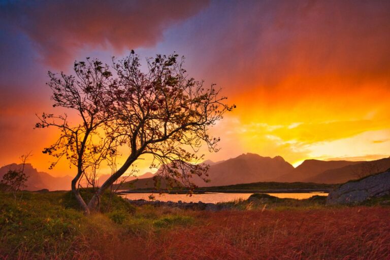 Best of western Lofoten: Photography and Sightseeing tour from Reine