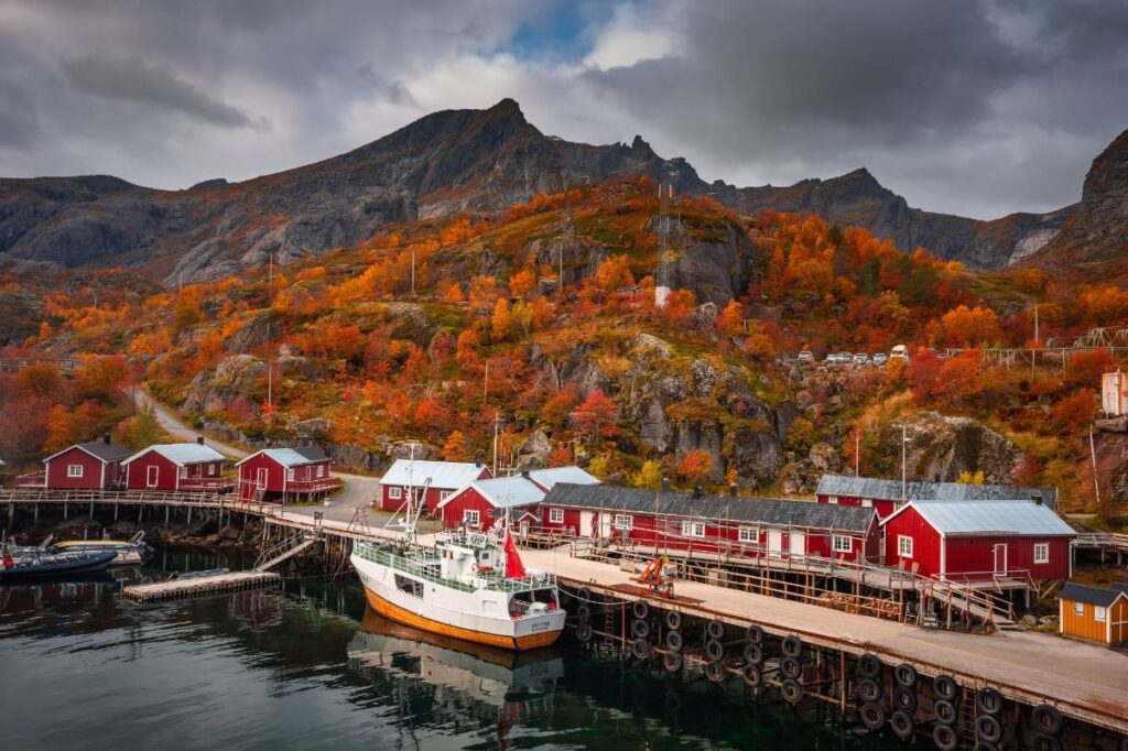 Best of western Lofoten: Photography and Sightseeing tour from Reine