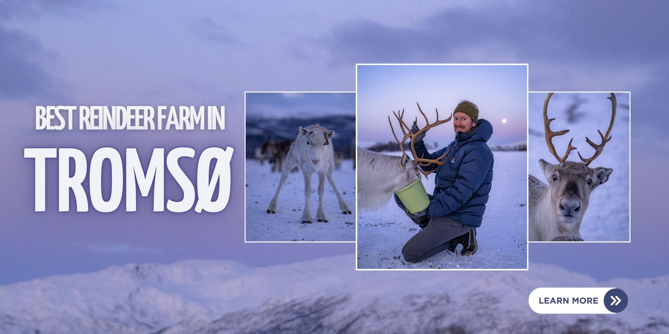 reindeer farm in Tromso banner