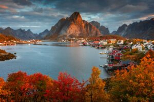 private sightseeing tours in lofoten (from Reine, Leknes or Svolvær)