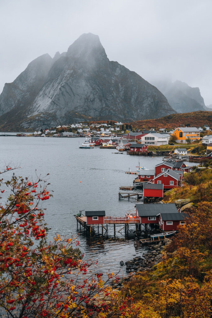 "Best of Lofoten" sightseeing tour from Svolvaer to Reine